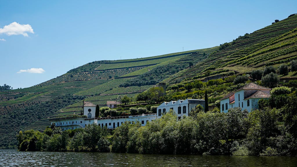 Captivating view of vineyards in the Douro Valley, Portugal, with lush green hills and traditional architecture.